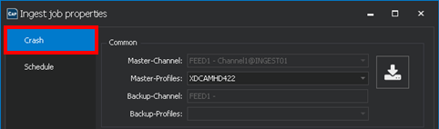 Ingest-Job properties Crash Record Icon