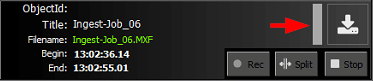 Crash Record Status grau